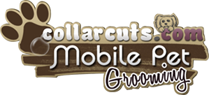 Collar Cuts Mobile Pet Grooming