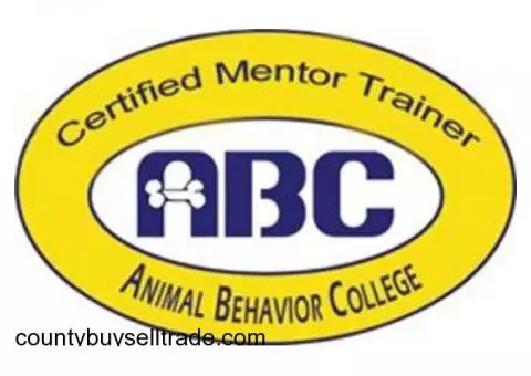 Free Dog Behavior Class