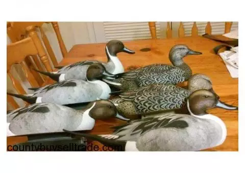 Duck Decoys