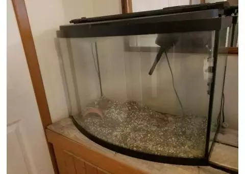 40 Gallon Bow Front Aquarium