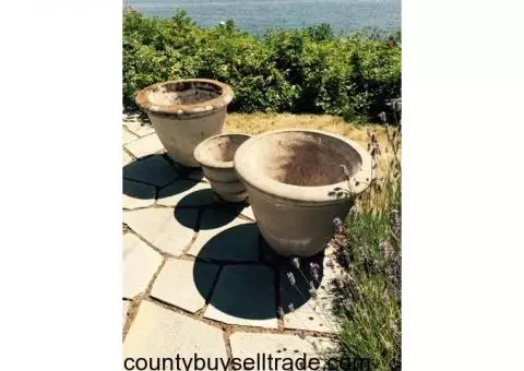 3 Cement Planters in great condition!