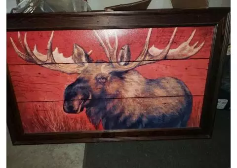 Moose picture