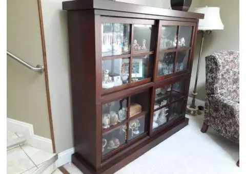 Cabinet / Bookcase