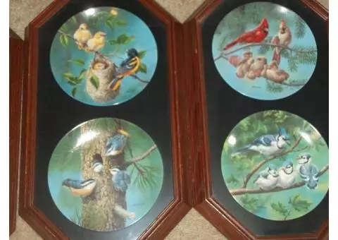 Knowles  Backyard Harmony Plates