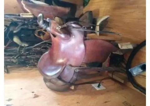 Saddle