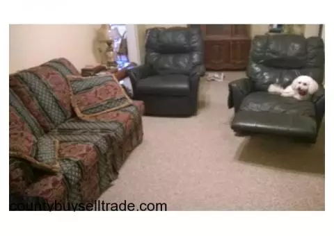 Leather Recliners