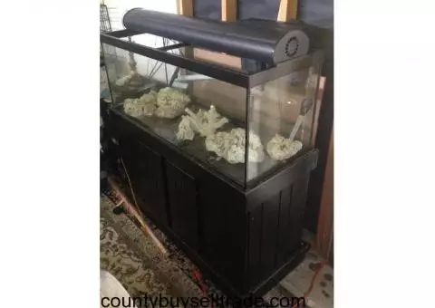 60 Gal Salt Water Reef Aquarium - (Tyrone )