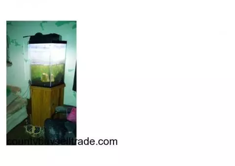 60 gallon hexagon fish tank with stand