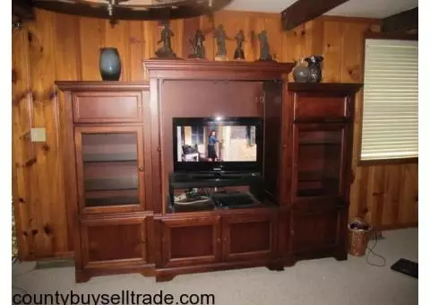 TV Entertainment Center