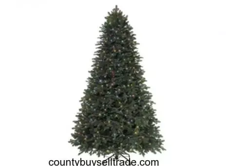 Tree Classic® 5 ½’ Grand Fir