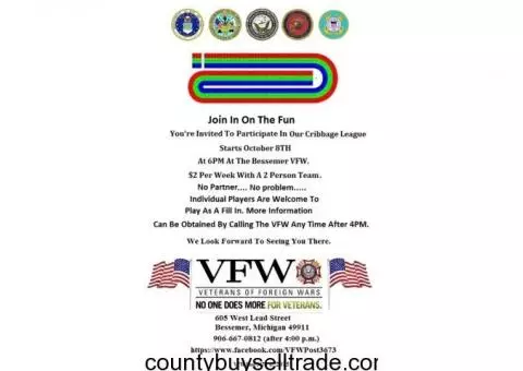 Bessemer VFW Cribbage League