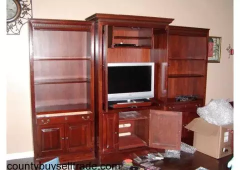 Beautiful Entertainment Center