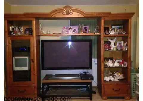 Entertainment center