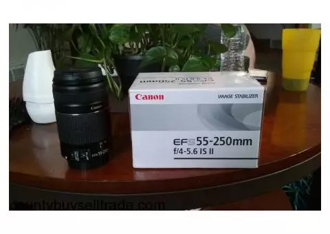 Canon image stabilizer