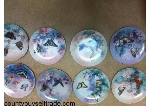 Collector Plates For Sale – Lena Liu