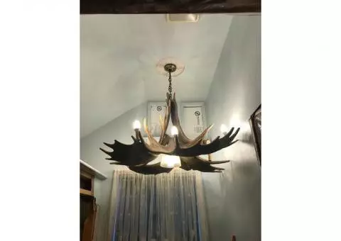 Faux Moose Antlers Chandelier