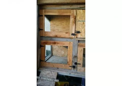 Rabbit (small animal) hutch