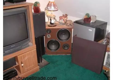 Stereo Speakers