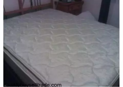 Queen Size Mattress (bought 6 months ago)