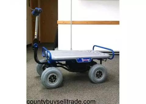 EJ20 Electric Utility Cart