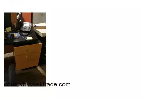 Receptionist/Salon Desk