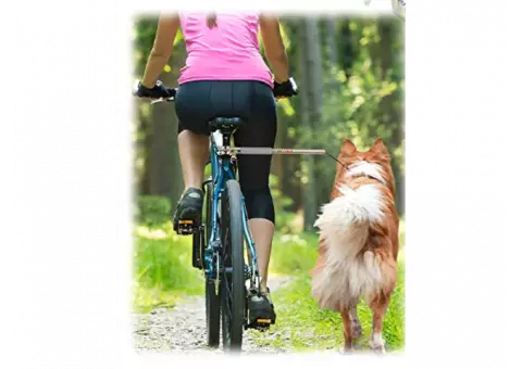 Walky Dog Bike Hands Free Leash/Exerciser