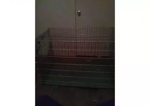 Dog cage