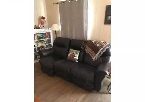 Faux Leather Couch