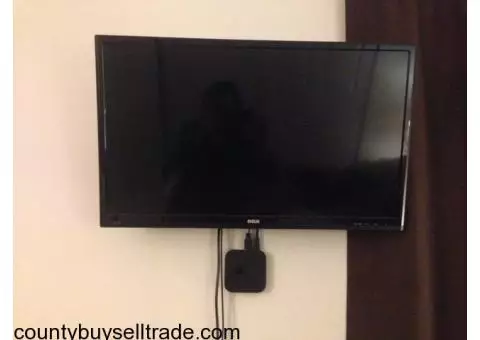 RCA 29" LCD TV