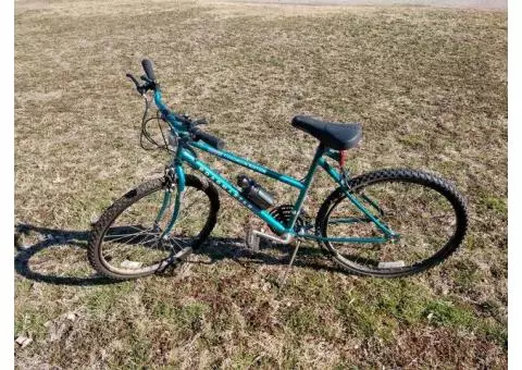 Women's Roadmaster Bike