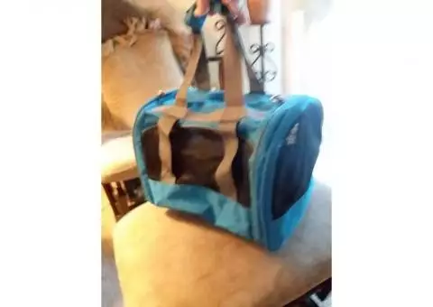 Small pet carrier