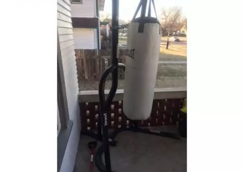 Everlast Punching Bag and Stand