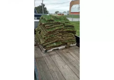 Pallet of sod