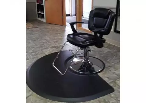 Salon Chair