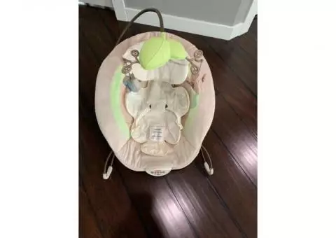 Baby bouncer