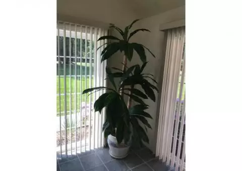 Artificial 7 foot silk plant