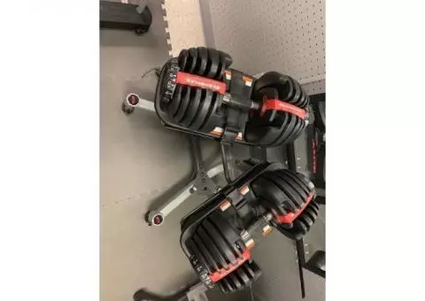 Bowflex 552 dumbbell set with stand