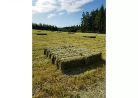 Quality Horse Hay