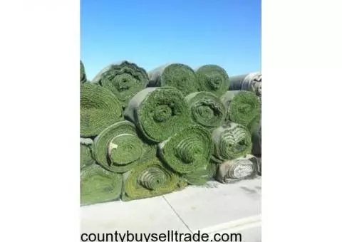 Artificial grass