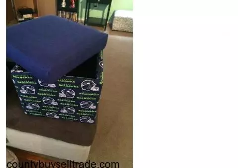 Seahawks foot stool