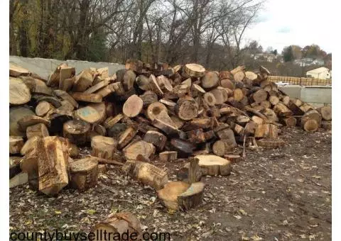 FIREWOOD (CHEAP)