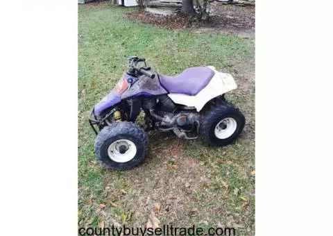 Suzuki Quad Sport 50