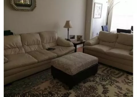 Sofa and Loveseat