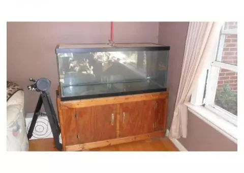 Fish Tanks 75 Gallon