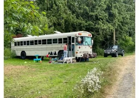 2002 BlueBird All American Rear Engine