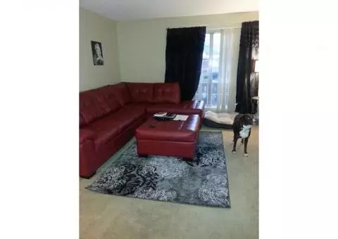 Red Sectional Sofa