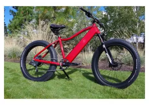 PEDEGO Fat-Tire E-Bike