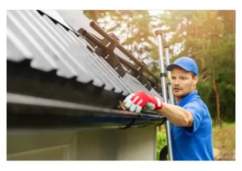 Gutter Cleaning