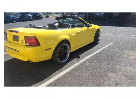 2003 ford mustang GT