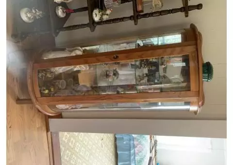 Curio Cabinet